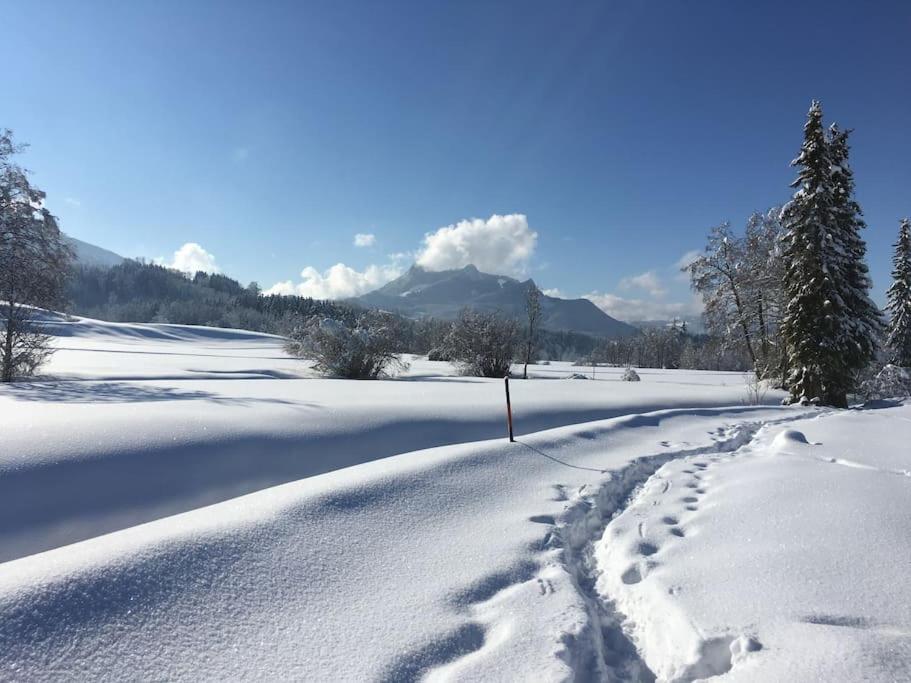 Fritzis Alpenidyll „Sommertraum & Winterromantik” Samerberg Exterior foto